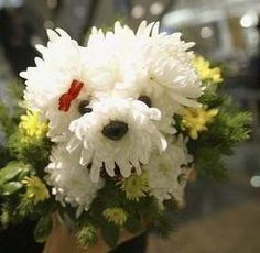 puppy flower arrangement instructions