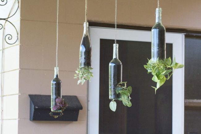 hanging wine bottle planter instructions