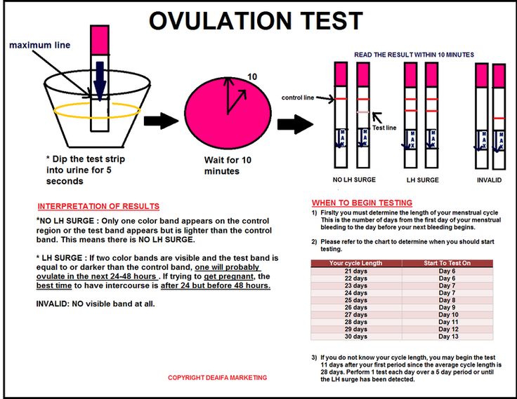 first response ovulation test instructions